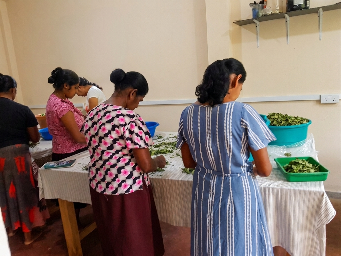 The Jayan Nature team preparing ingredients at the production facility